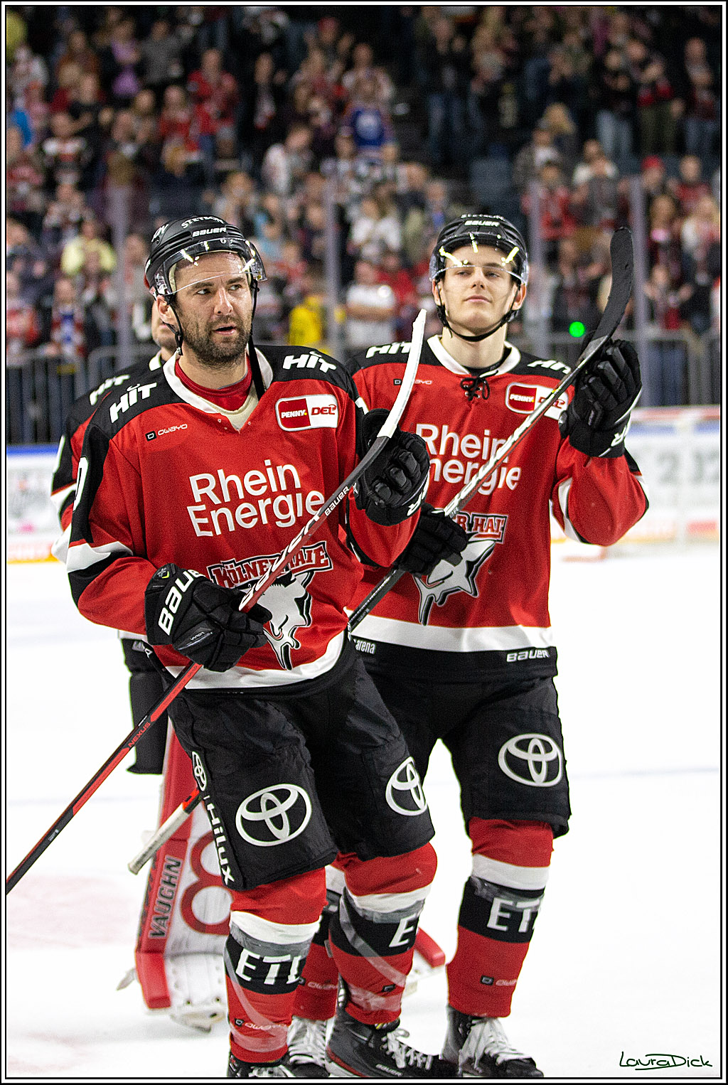 PENNY DEL;  Koelner Haie - Krefeld Pinguins; Koeln, 31.10.2021